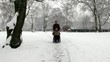 junger Rollstuhlfahrer mit Pfleger im Park