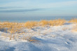 Baltic sea's dunes under the snow Baltic sea's dunes under the snow