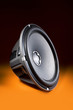 Speaker / Sub-woofer