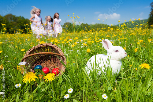 Foto: Easter bunny watching the egg hunt Easter bunny watching the egg hunt