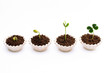 Growth-Plant growing stages Growth-Plant growing stages