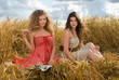 Two beautiful slavonic girls on picnic in wheat field