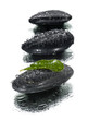 spa stones with leaf