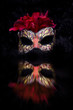 Maskenball