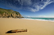 Driftwood on a deserted beach in cornwall