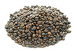 Roasted Coffee Beans