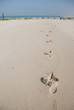 footsteps