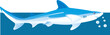 Illustration of a shark underwater