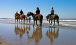 Cheval à marée basse