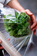 Covering the mint plant