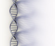 DNA structure model on white surface