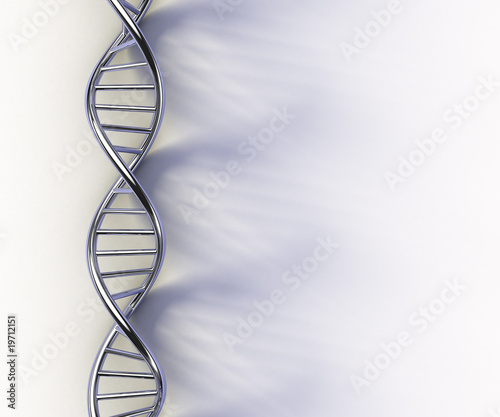 DNA structure model on white