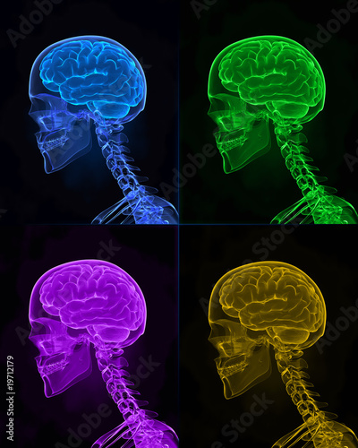 Illustration: Hhuman diversity concept Hhuman diversity concept