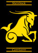 Sternzeichen / Zodiac