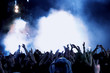 Cheering crowd at concert Cheering crowd at concert