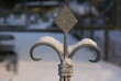 Foto: Zaungitter - Spitze Zaungitter - Spitze