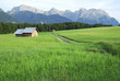 Pasture in the alps