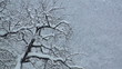 dichter schneefall im winter dichter schneefall im winter