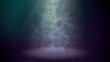Light column loop