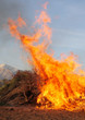 wildfire blaze