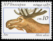 Animal on a postage stamp Animal on a postage stamp