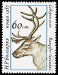 Animal on a postage stamp Animal on a postage stamp