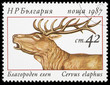 Animal on a postage stamp Animal on a postage stamp