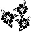 Hibiscus Flower in Oahu, Hawaii Vector Illustration Hibiscus Flower in Oahu, Hawaii Vector Illustration