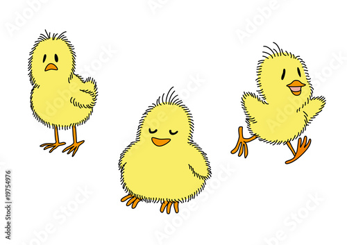 Vektor: chick-kuecken chick-kuecken