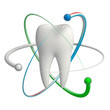 Protected tooth