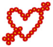 Vecteur : Coeur Je t'aime Fleurs Coup de Foudre Amour Saint Valentin Cœur Coeur Je t'aime Fleurs Coup de Foudre Amour Saint Valentin Cœur