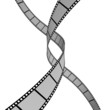 Film Strip