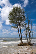 A global warming (Coast of the Baltic Sea)