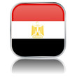 Egypt Flag Square Web Button (Egyptian Africa Vector Reflection)