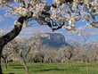 Foto: Spanien | Spain Spanien | Spain