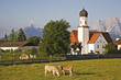 Wallgau