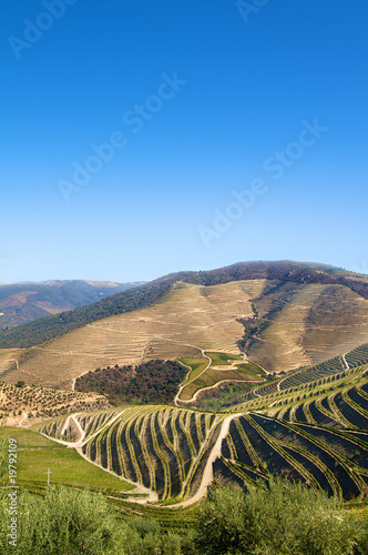 Photo: Alto Douro Wine Region - Unesco Alto Douro Wine Region - Unesco