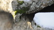 Gotas de agua sobre roca nevada