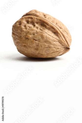 Foto: Walnuss Walnuss
