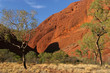 Images : Olgas