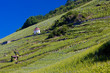 grand cru vineyard and Chapel St. Urban, Thann, Alsace, France