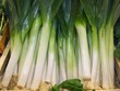Légumes bio