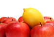different concepts with fruits different concepts with fruits