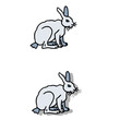 Lapin
