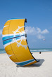 A kite at a beach