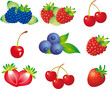 Vector: Berry vector Berry vector