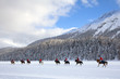 cavalli al galoppo sulla neve cavalli al galoppo sulla neve