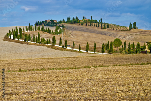 Foto: Typische Landschaft in Crete, Toskana Typische Landschaft in Crete, Toskana