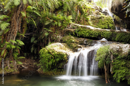 Fototapeta Rainforest waterfall