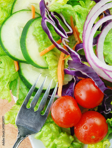 Photo: Garden Salad on Square Plate Garden Salad on Square Plate